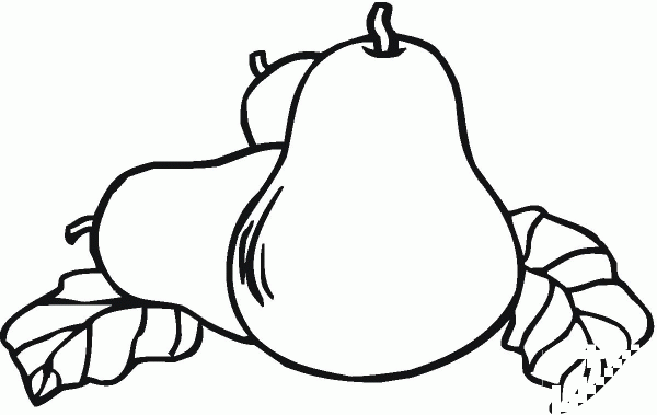 Pear coloring page image