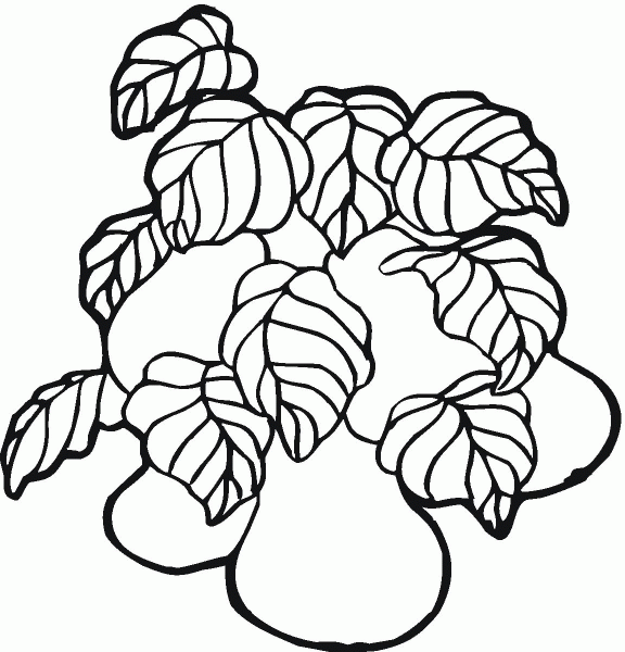 Pear coloring page image