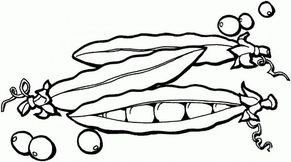 Peas coloring page image