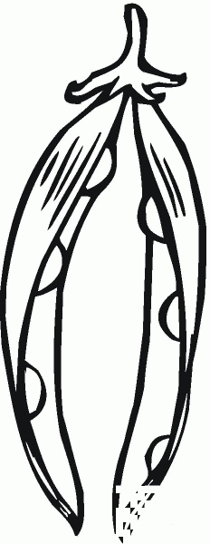 Peas coloring page image