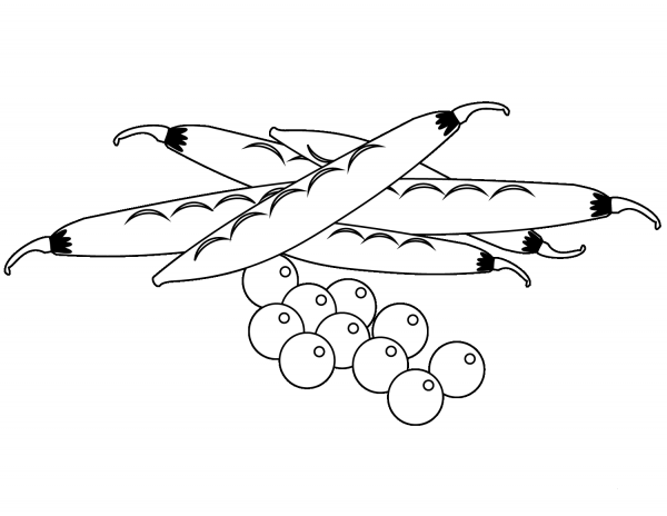 Peas coloring page image