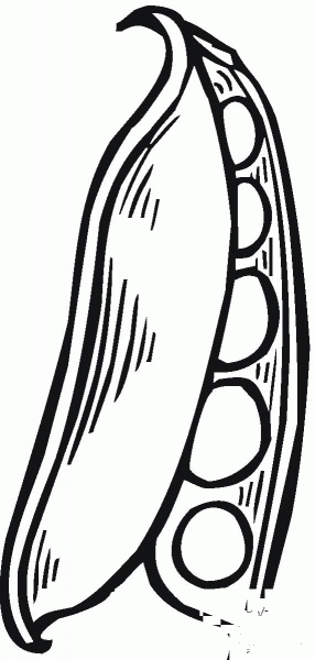 Peas coloring page image