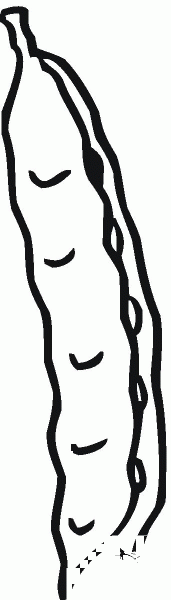 Peas coloring page image