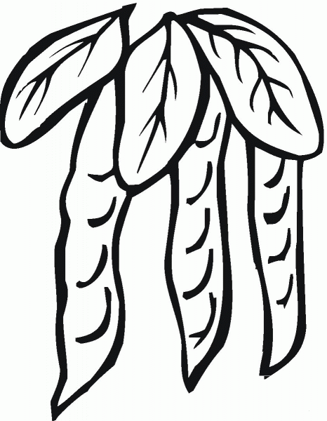 Peas coloring page image