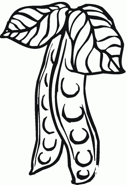 Peas coloring page image