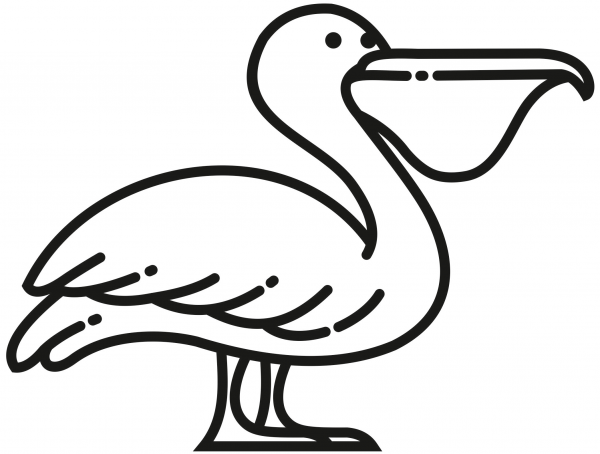 Pelican coloring page image