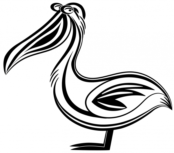 Pelican coloring page image