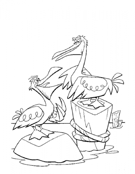 Pelicans coloring page image