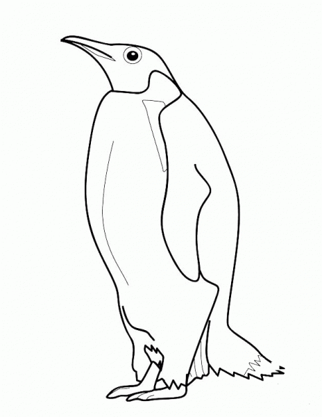 Penguin coloring page image