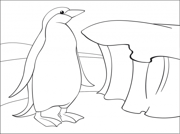 Penguin coloring page image