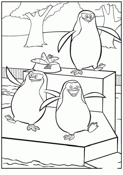 Penguins  coloring page image