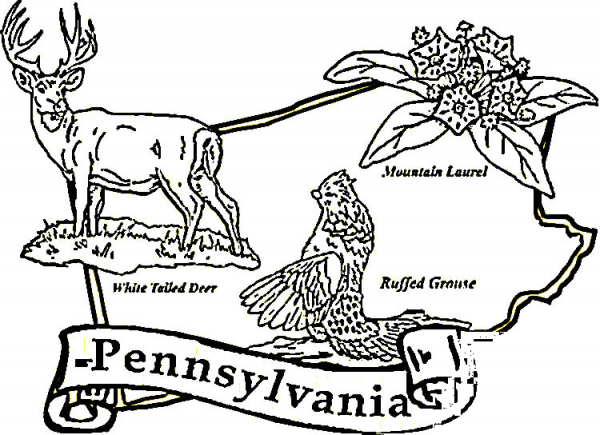 Pennsylvania state coloring page image