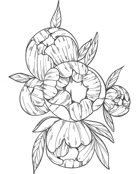 Peonies coloring page image