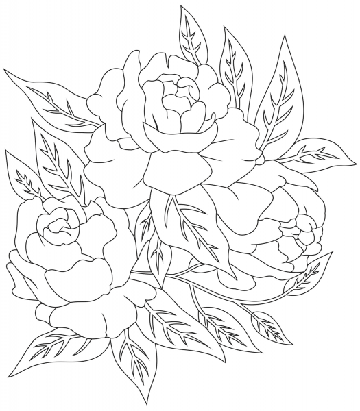 Peonies coloring page image