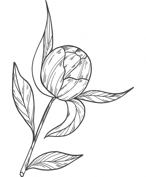 Peony Bud coloring page image