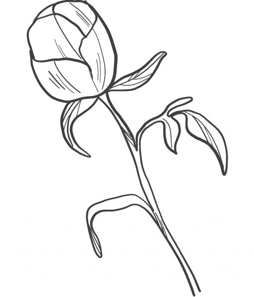 Peony Bud coloring page image