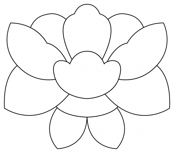 Peony coloring page image
