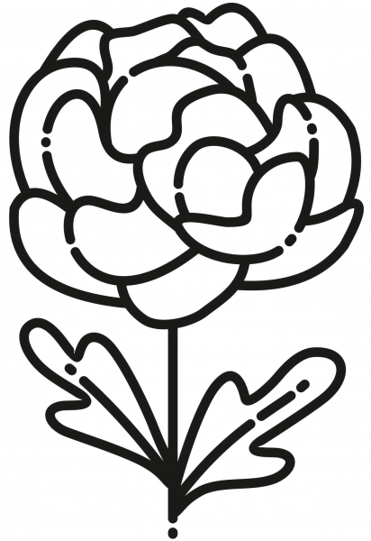 Peony coloring page image