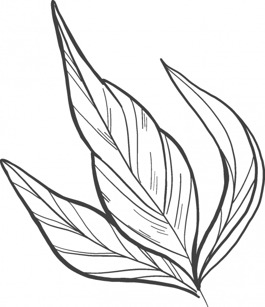 Peony Leaves coloring page image
