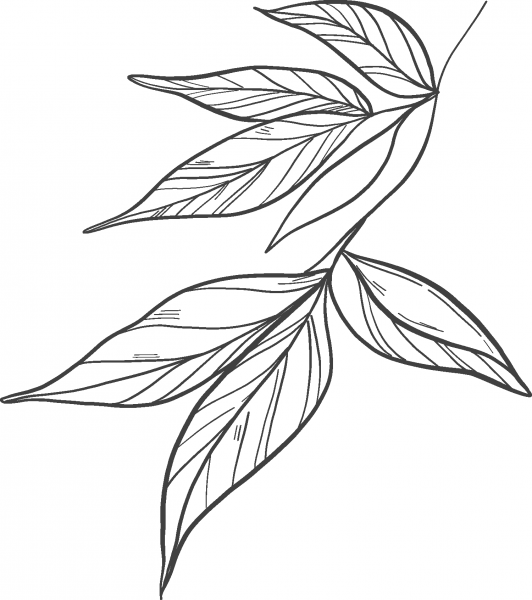 Peony Leaves coloring page image