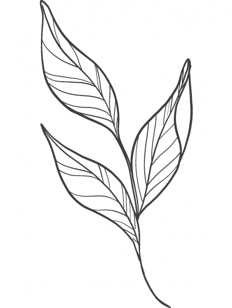 Peony Leaves coloring page image