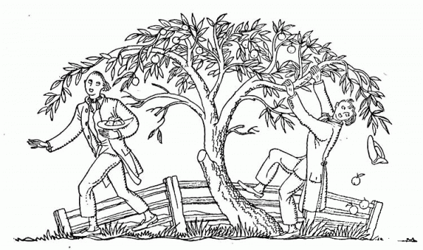 People Picks Apple from the Tree coloring page image
