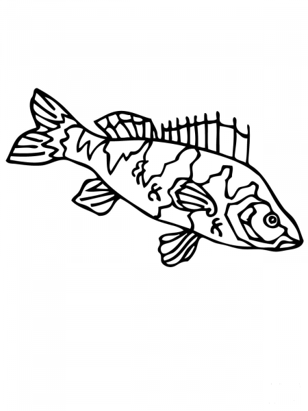 Perch coloring page image