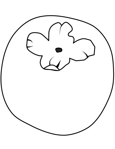 Persimmon coloring page image
