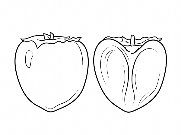Persimon and Its Cross Section coloring page image