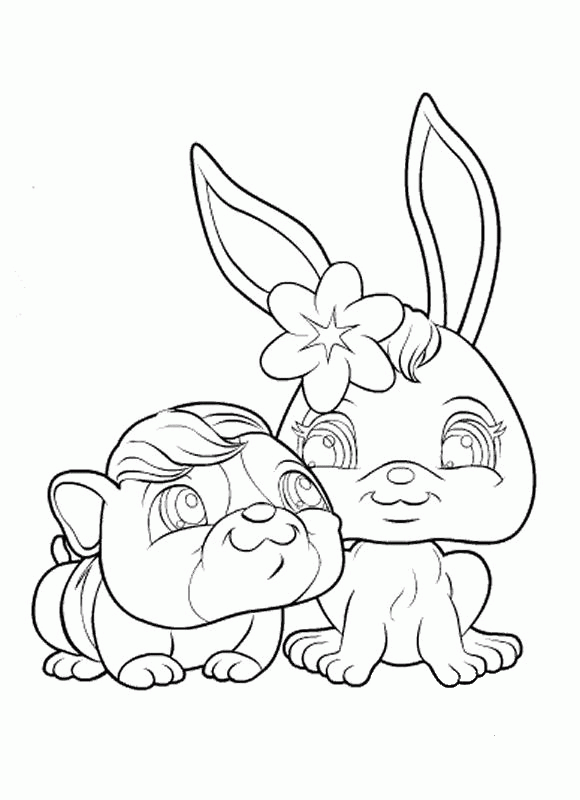 Pet Shop Animals coloring page - ColouringPages