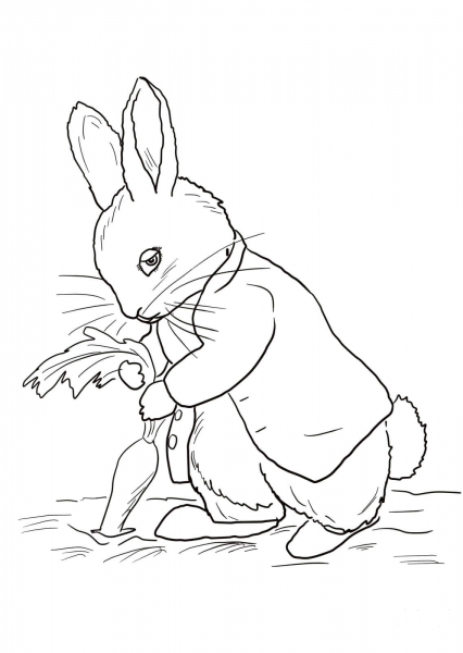 Peter Rabbit Stealing Carrots coloring page image