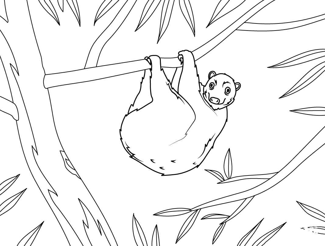 Philippine Flying Lemur Coloring Page - Colouringpages