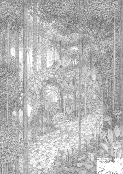Picking Flowers in a Clearing in the Forest coloring page image