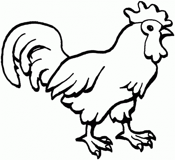 Picture Of Rooster coloring page image