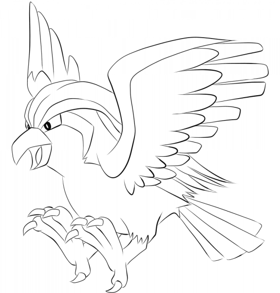 Pidgeot coloring page image