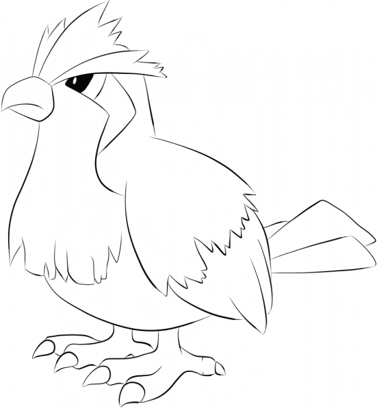 Pidgey coloring page image