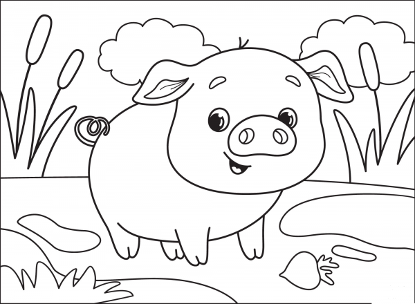Pig coloring page image