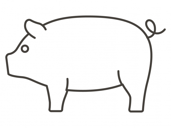 Pig coloring page image