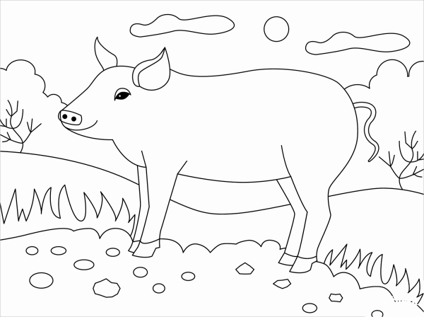 Pig coloring page image