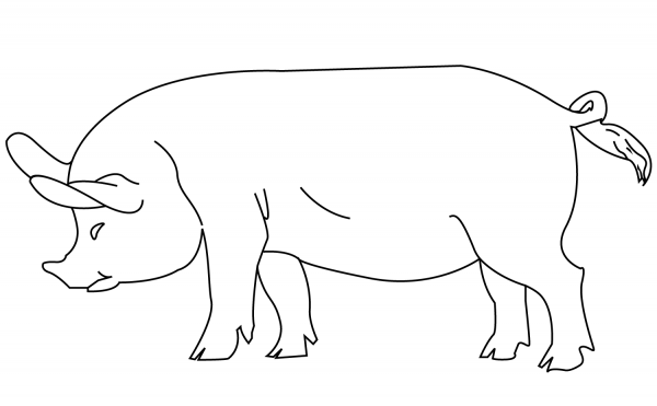 Pig coloring page image