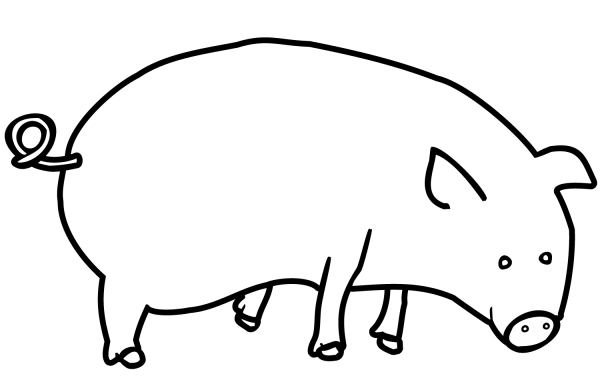 Pig coloring page image