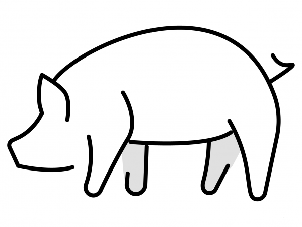 Pig Emoji coloring page image