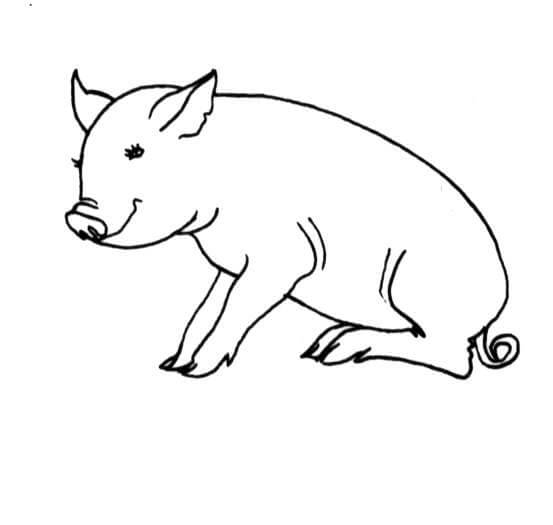 Pig Is Sitting coloring page image