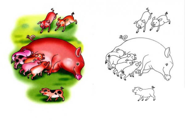 Pig Nurse Piglets coloring page image