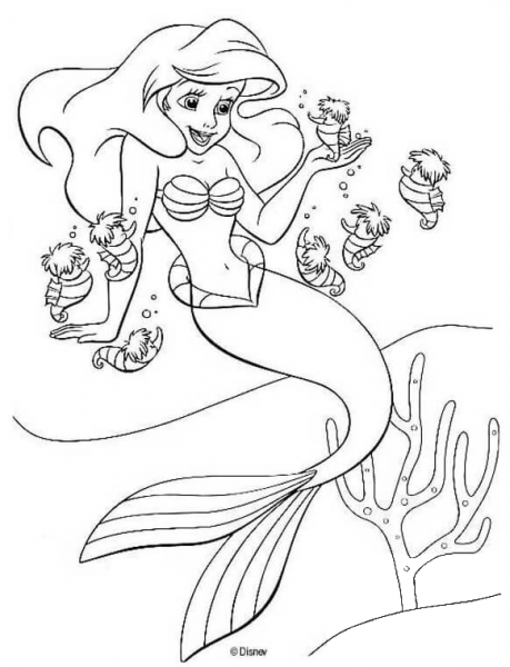Ariel And Seahorses  coloring page image