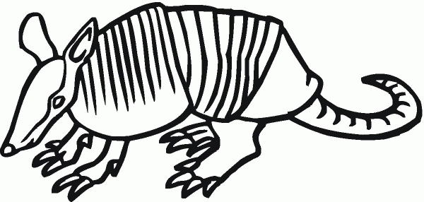 Armadillo coloring page image