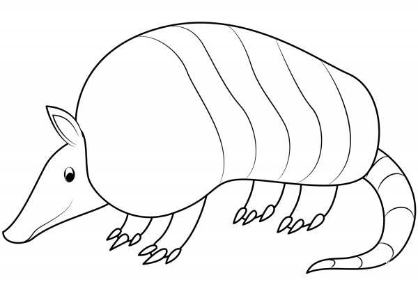 Armadillo coloring page image