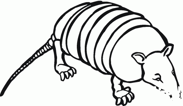 Armadilo 5 coloring page image