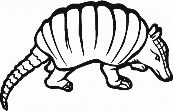 Armadilo 6 coloring page image