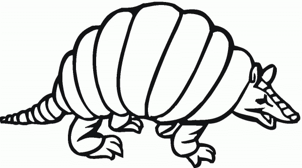 Armadilo 8 coloring page image